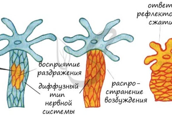 Kraken ссылка зеркало рабочее